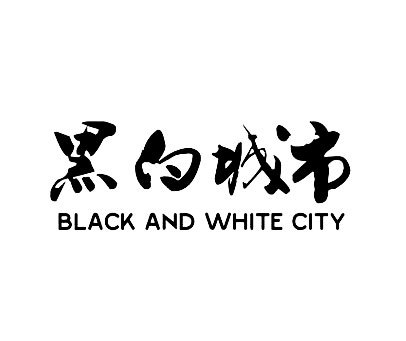 黑白城市-BLACKANDWHITECITY