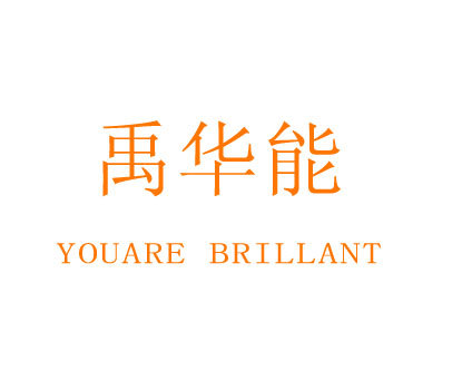 禹华能 YOU ARE BRILLANT