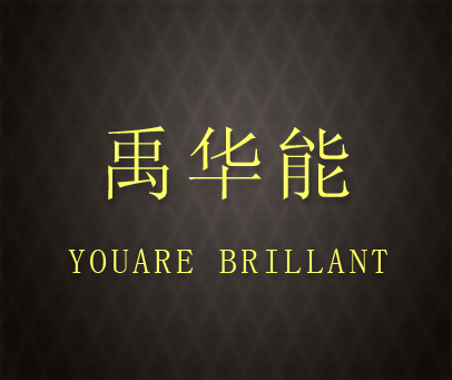 禹华能 YOU ARE BRILLANT