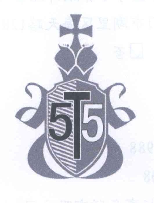 5T5