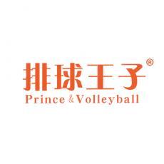 排球王子 PRINCE & VOLLEYBALL