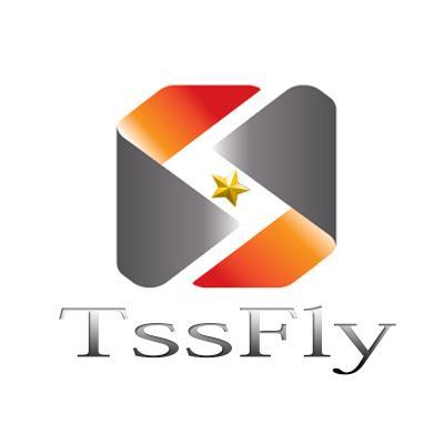 TSSFIY