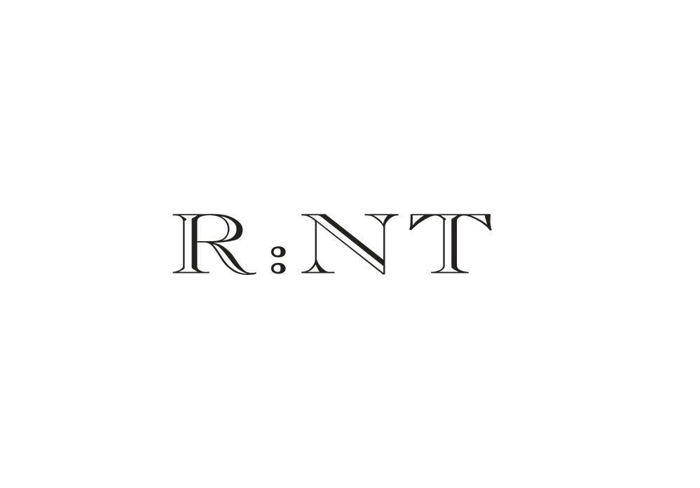 R：NT