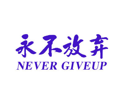 永不放弃 NEVER GIVE UP