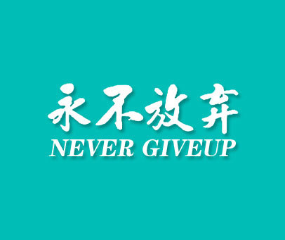 永不放弃 NEVER GIVE UP
