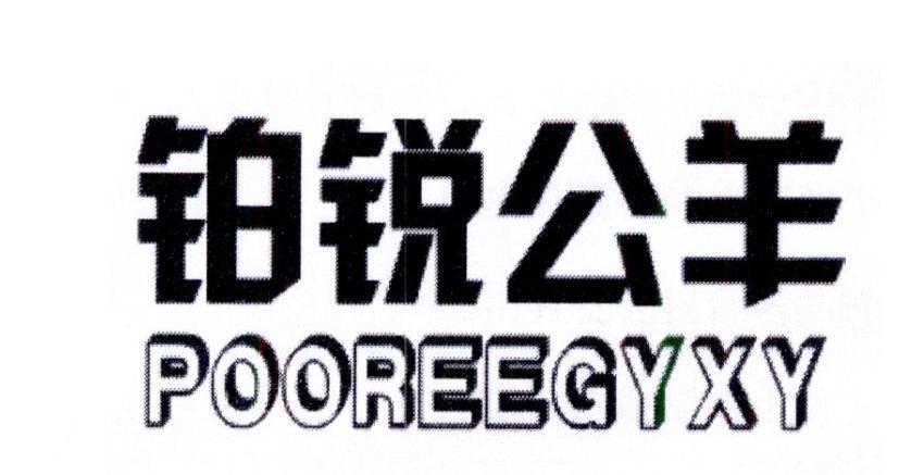 铂锐公羊 POOREEGYXY