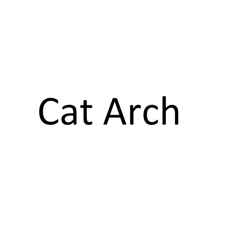 CAT ARCH