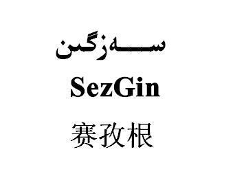 赛孜根 SEZGIN