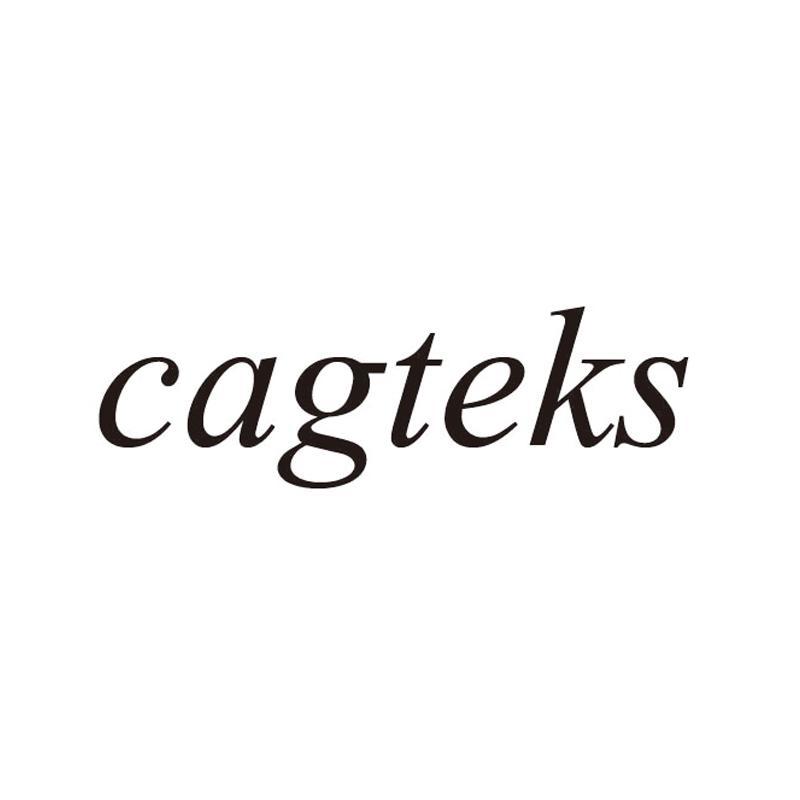 CAGTEKS