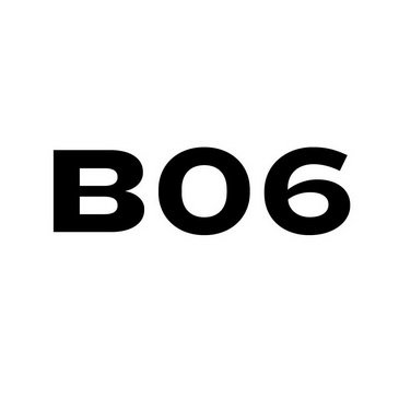 B 06