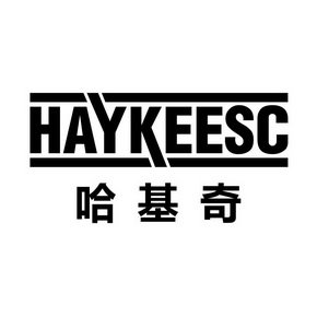 哈基奇 HAYKEESC