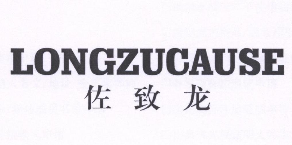 佐致龙 LONGZUCAUSE