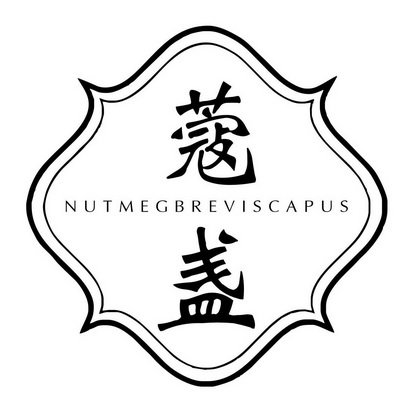 蔻盏  NUTMEGBREVISCAPUS