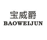 宝威爵 BAOWEIJUN