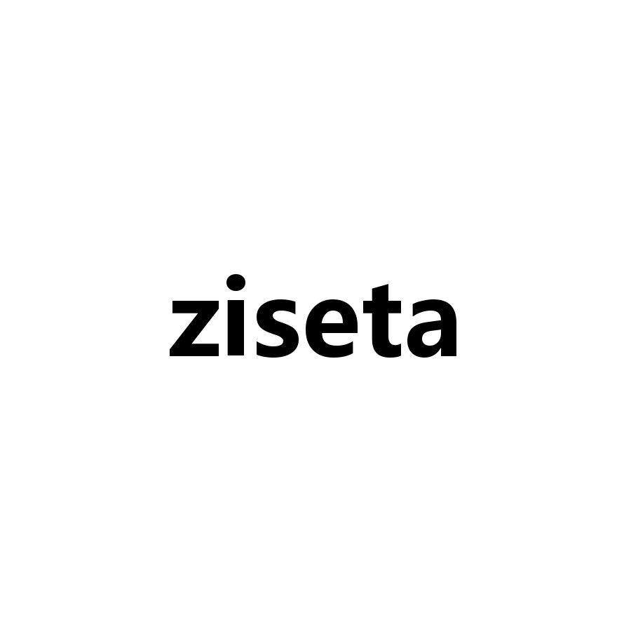 ZISETA