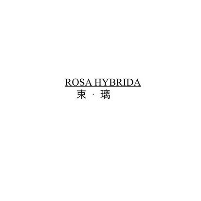 束·璃 ROSA HYBRIDA