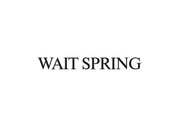 WAIT SPRING