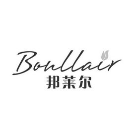 BONLLAIR 邦莱尔