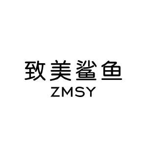 致美鲨鱼 ZMSY