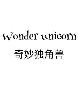 WONDER UNICORN 奇妙独角兽