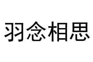 羽念相思