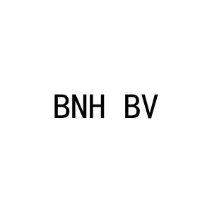 BNH BV