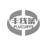 丰线条 PLUCURVE