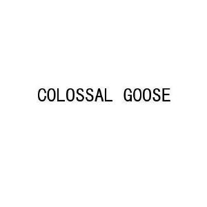 COLOSSAL GOOSE