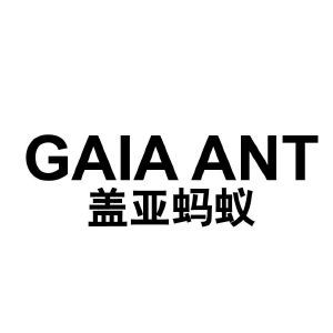 盖亚蚂蚁 GAIA ANT