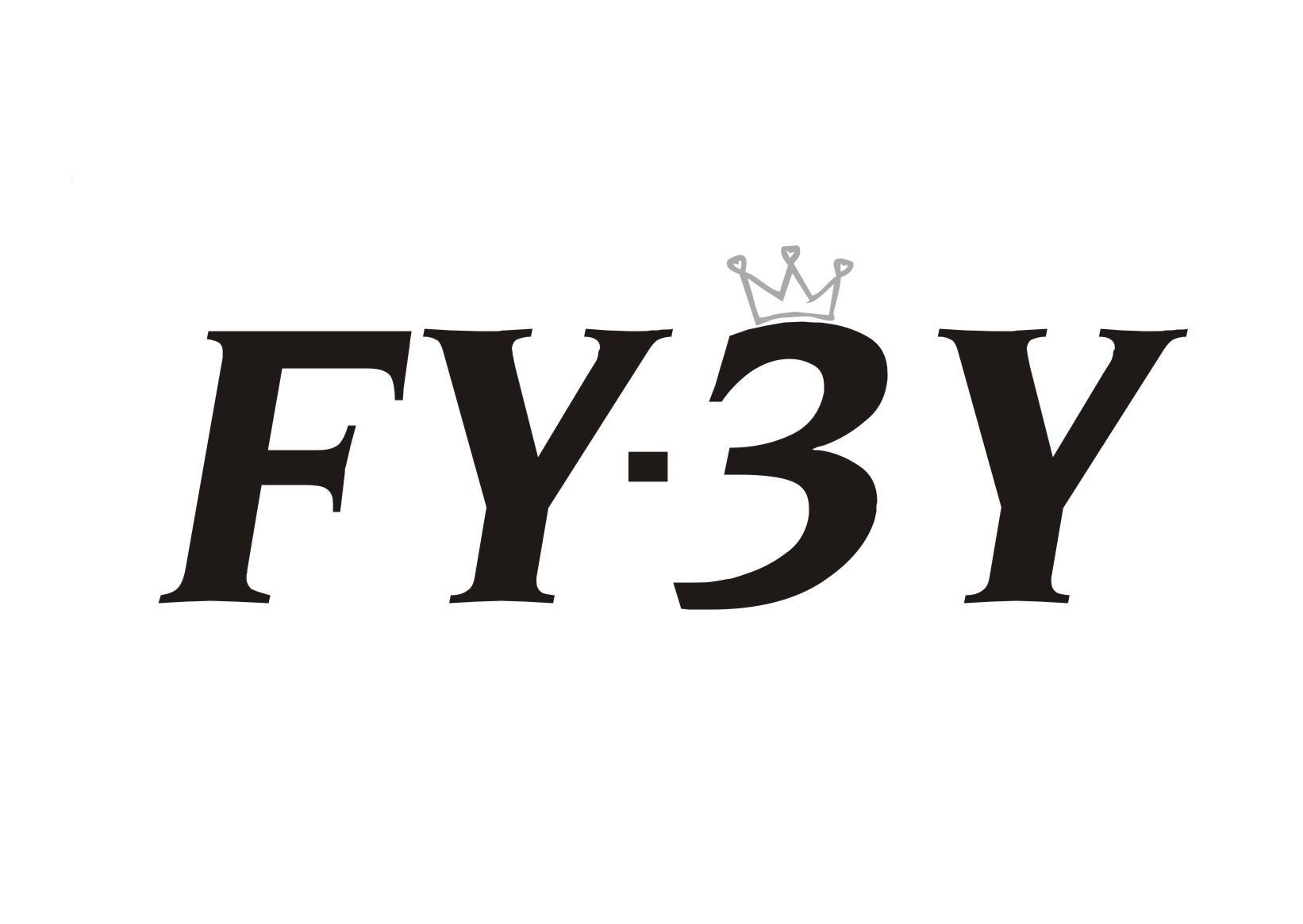 FY-3Y