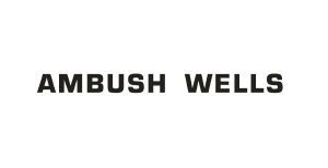 AMBUSH WELLS