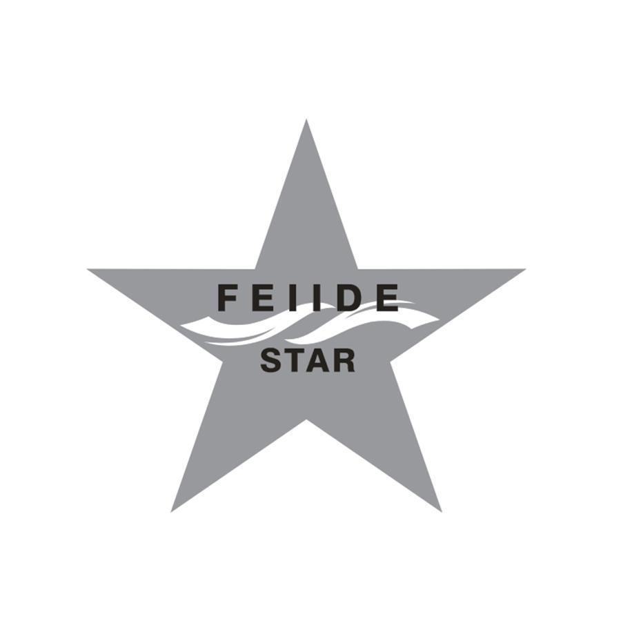 FEIIDE STAR