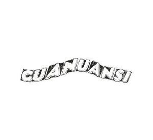 GUANUANSI