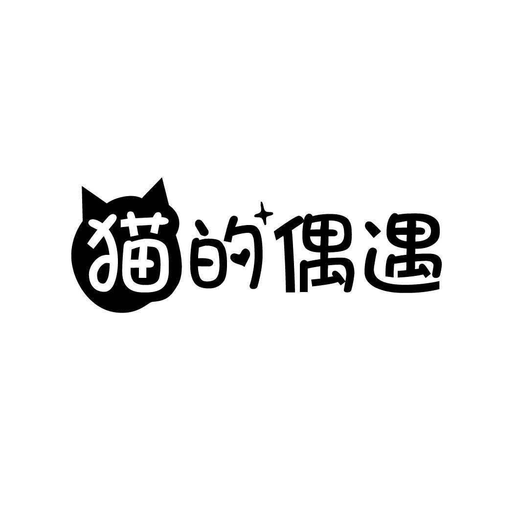 猫的偶遇