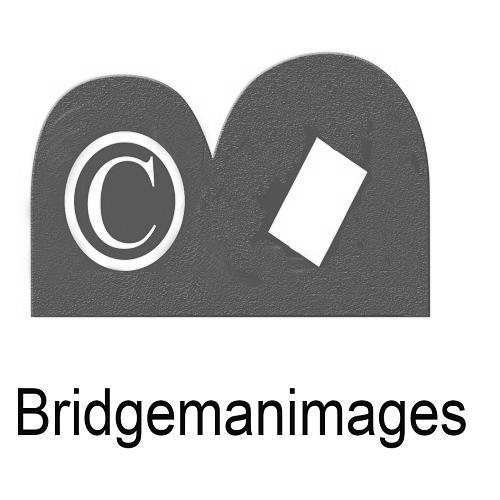 BRIDGEMANIMAGES C