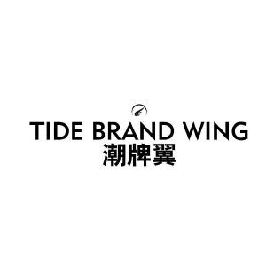 潮牌翼 TIDE BRAND WING