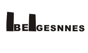 IBEIGESNNES