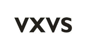 VXVS