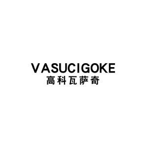 高科瓦萨奇 VASUCIGOKE