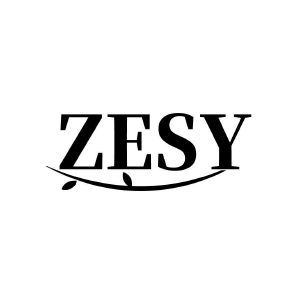 ZESY