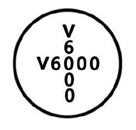 V6000