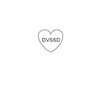 DVSSD