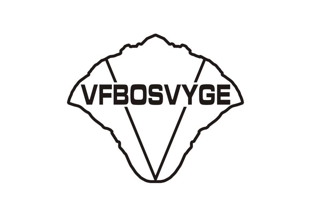 VFBOSVYGE