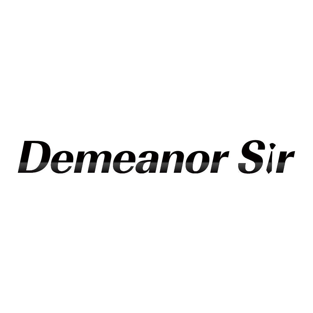 DEMEANOR SIR