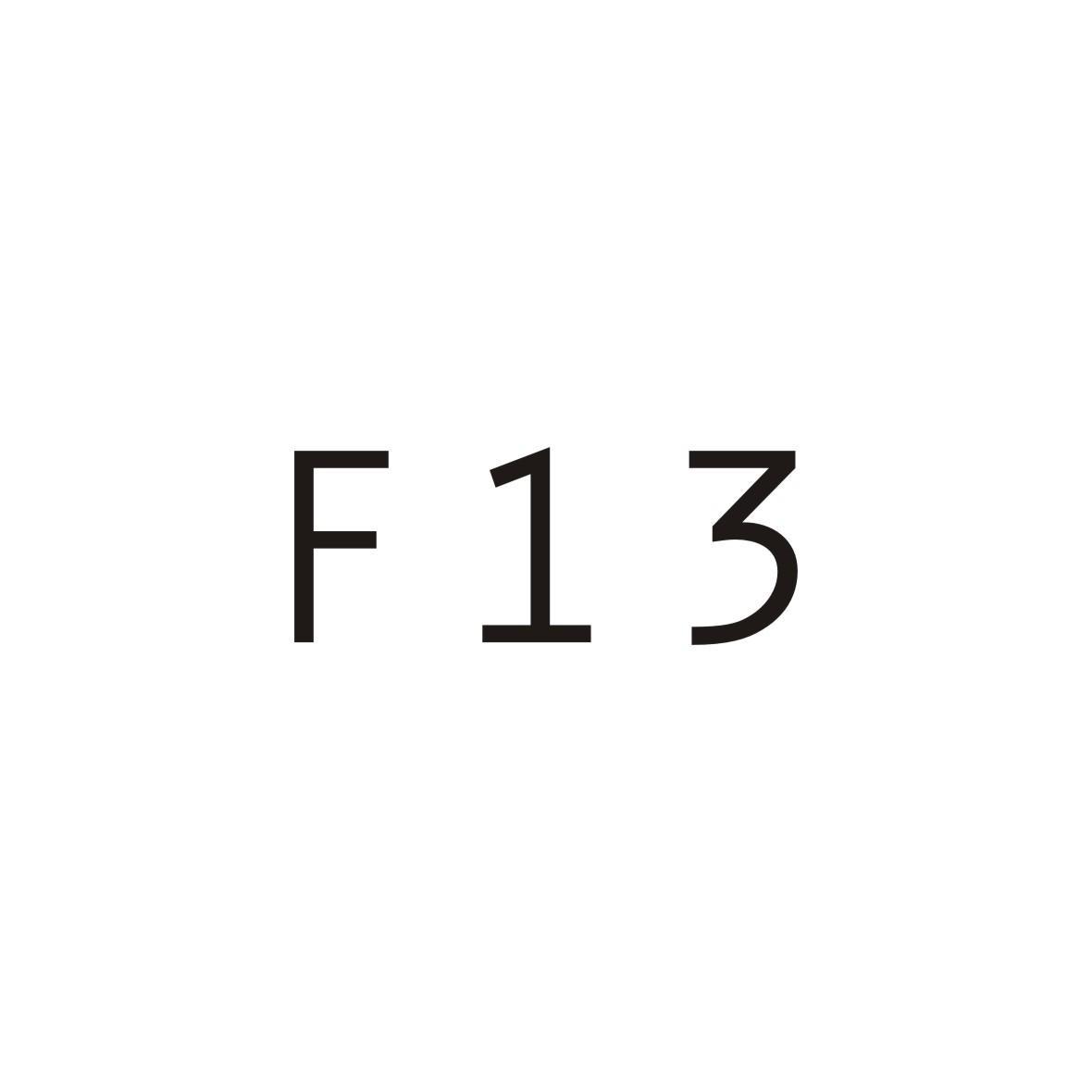 F 13