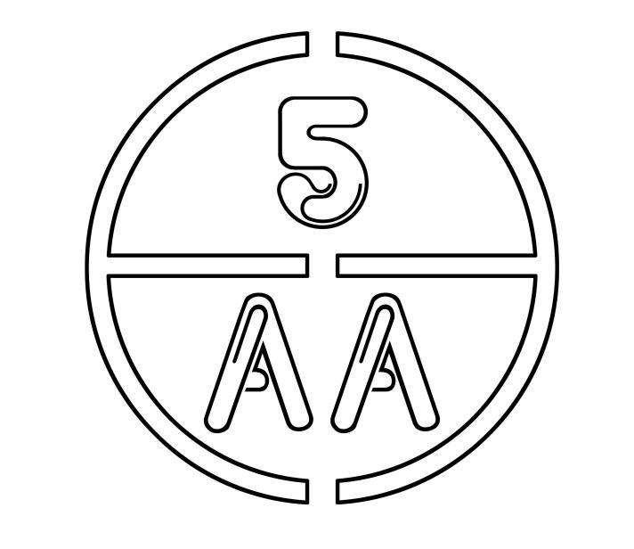 5 AA