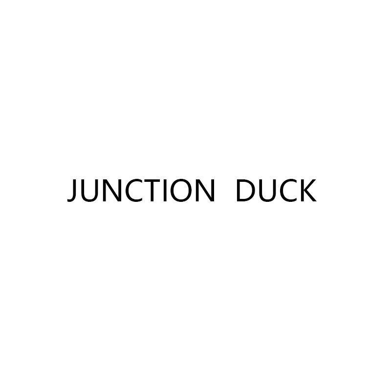 JUNCTION DUCK