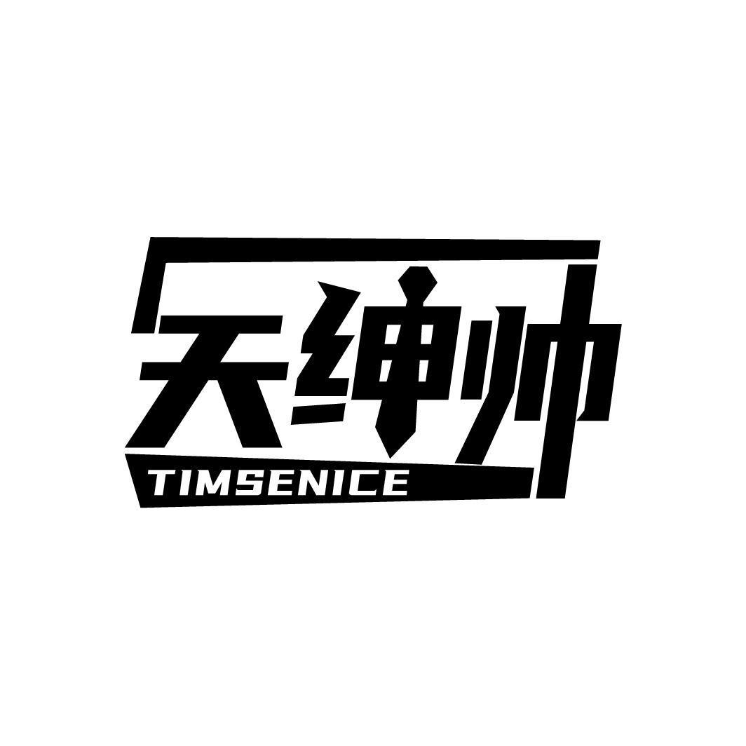 天绅帅 TIMSENICE