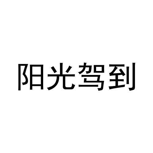 阳光驾到