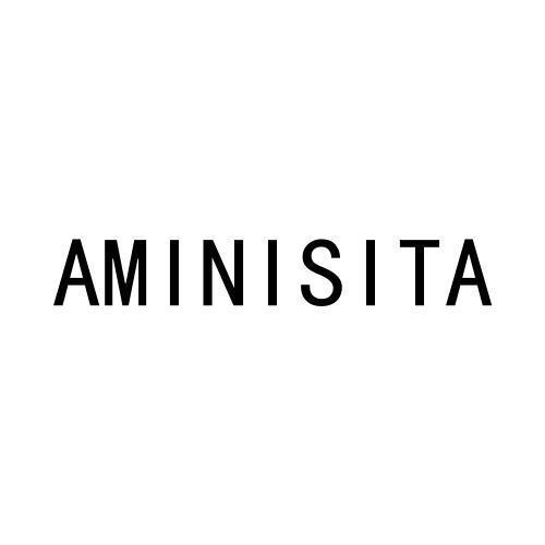 AMINISITA